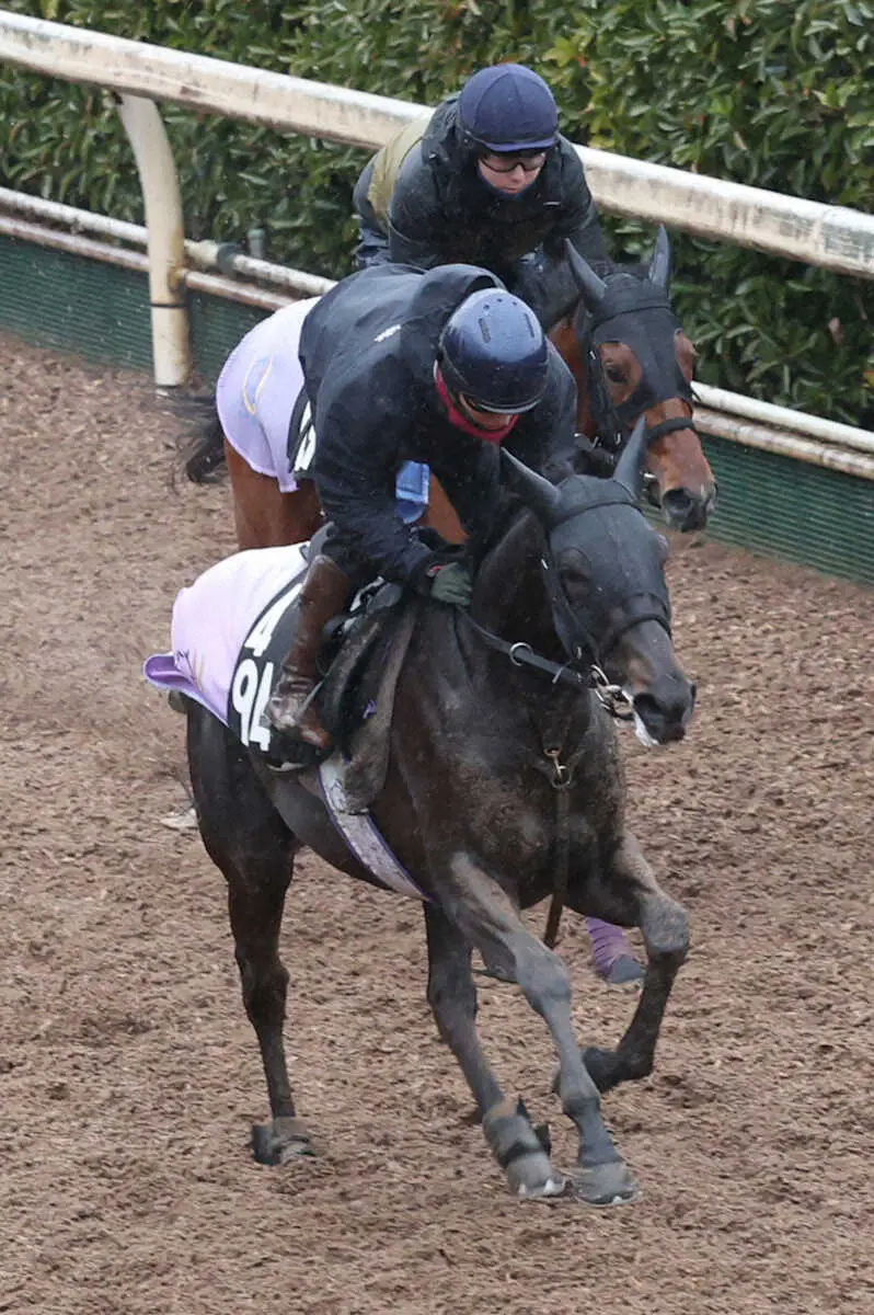 【桜花賞】（5）シカゴスティング　当日精神面が鍵、庄野師「栗東では落ち着いているが…」