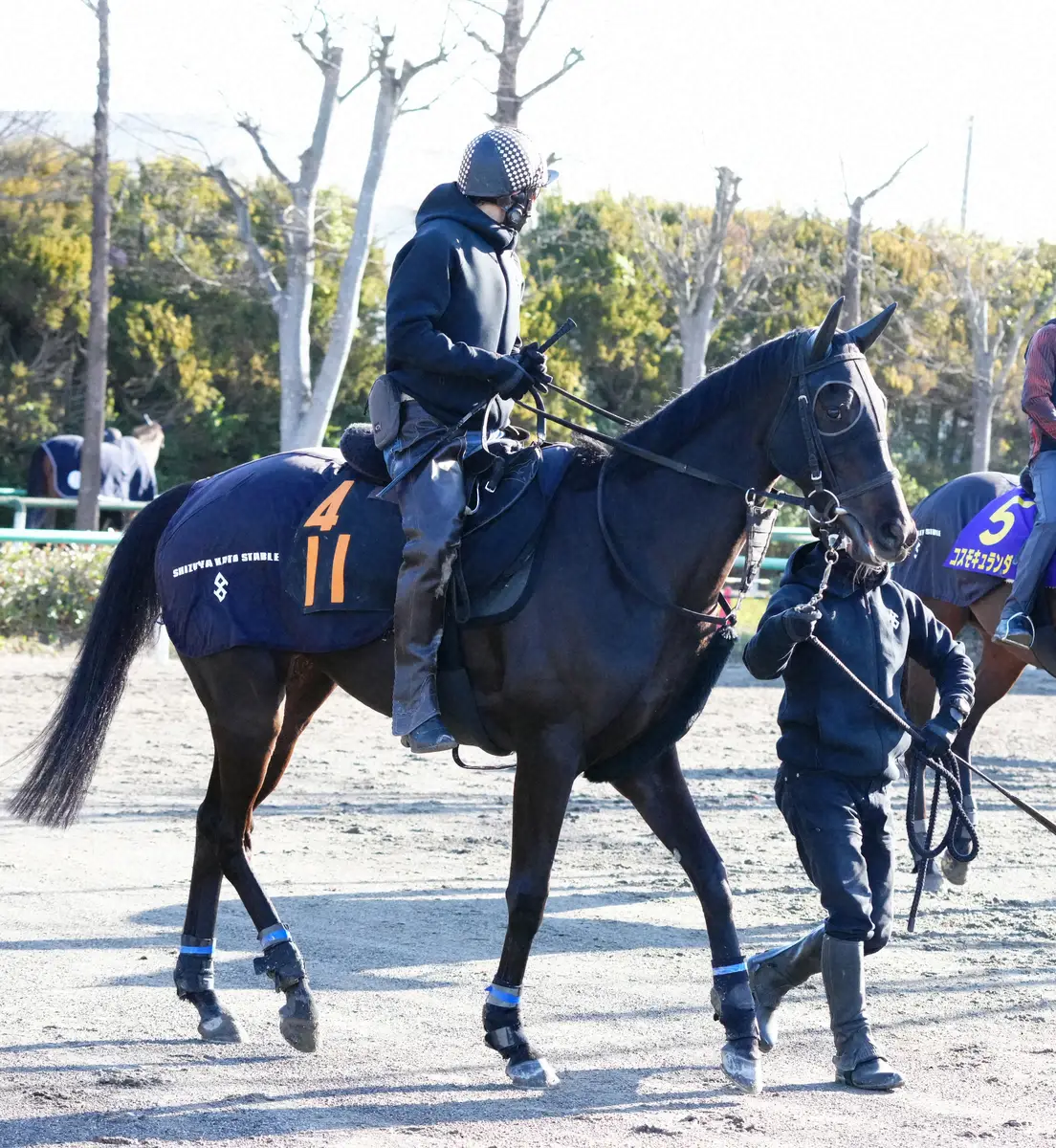 【フローラS】3歳有力馬が続々!勢いに乗る加藤士厩舎　クリスマスパレードで樫切符狙う