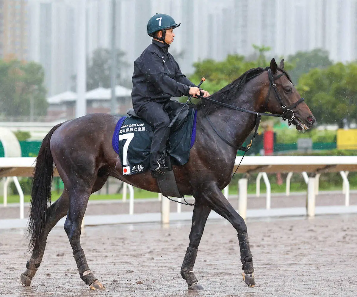 【香港・クイーンエリザベス2世C】（9）ノースブリッジ　奥村武師「思い通りの調整ができた」