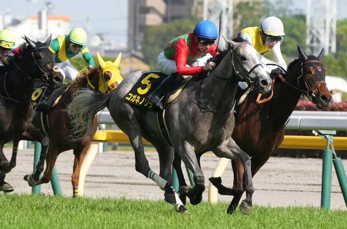 【スイートピーS】コガネノソラ　3連勝で“ラスト1枚”の樫切符　石川「100点の競馬」