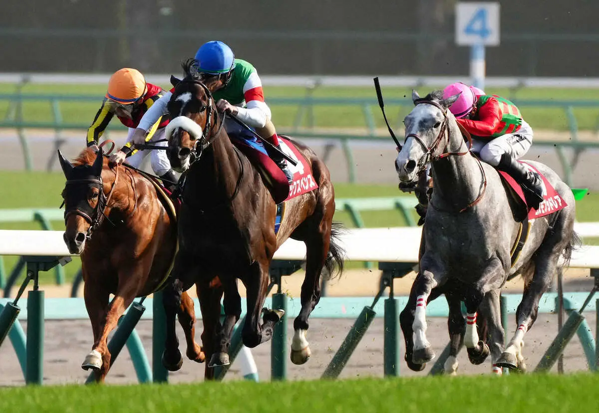 3連勝でスプリングS勝ちシックスペンス　川田との新コンビでダービーへ