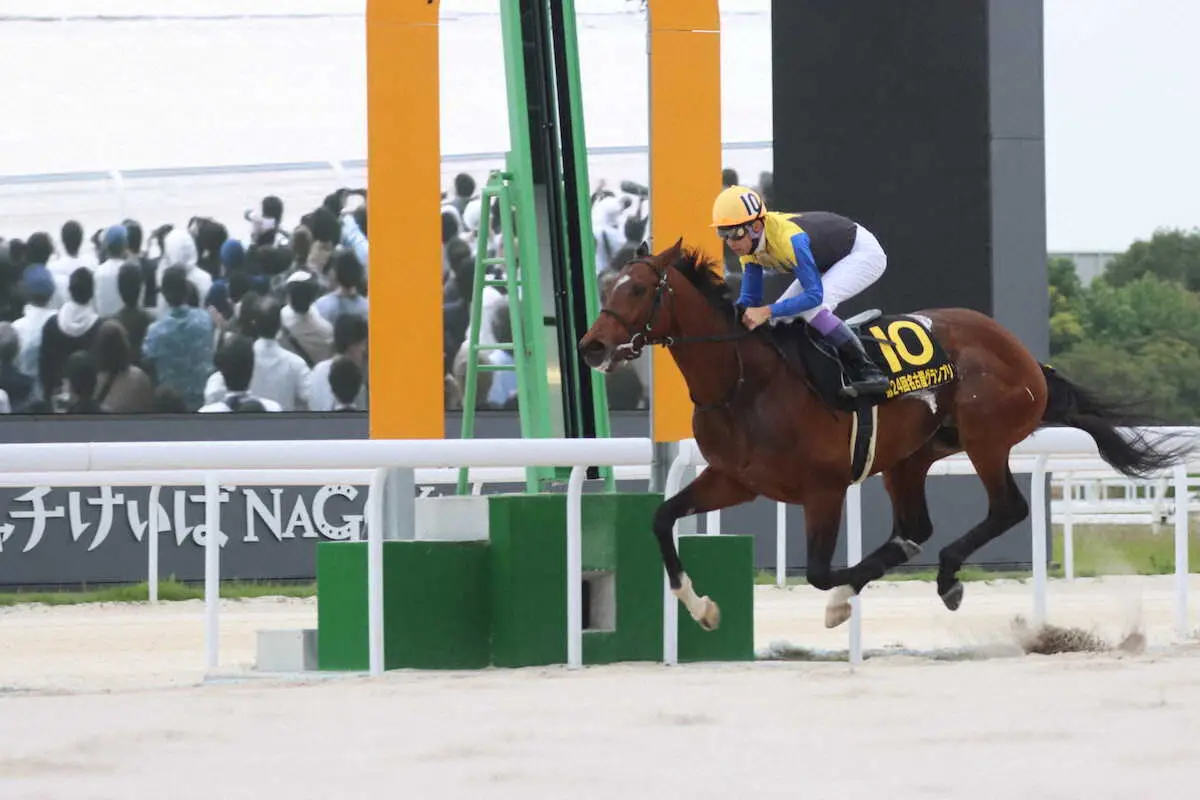 【名古屋グランプリ】「凄く馬が充実」圧勝ノットゥルノの武豊「気分良く走っていた」