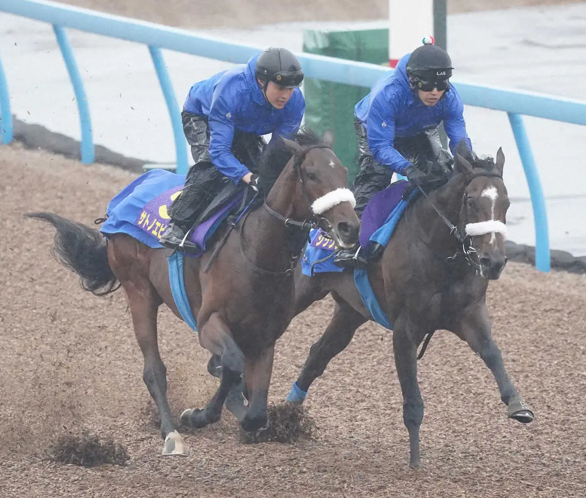 【日本ダービー1週前追い】サトノエピック　ラスト1F11秒3　国枝師「馬が1段上がってきた」