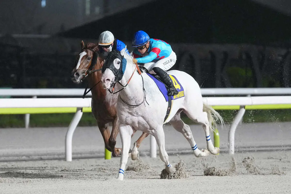 【大井競馬・東京ダービー】選定馬16頭発表　羽田盃馬は不在も2、3着馬はエントリー