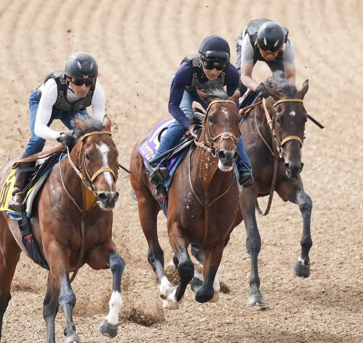 【日本ダービー】ダノンエアズロック　セレクトセール取引馬史上最高額JRA・G1馬なるか
