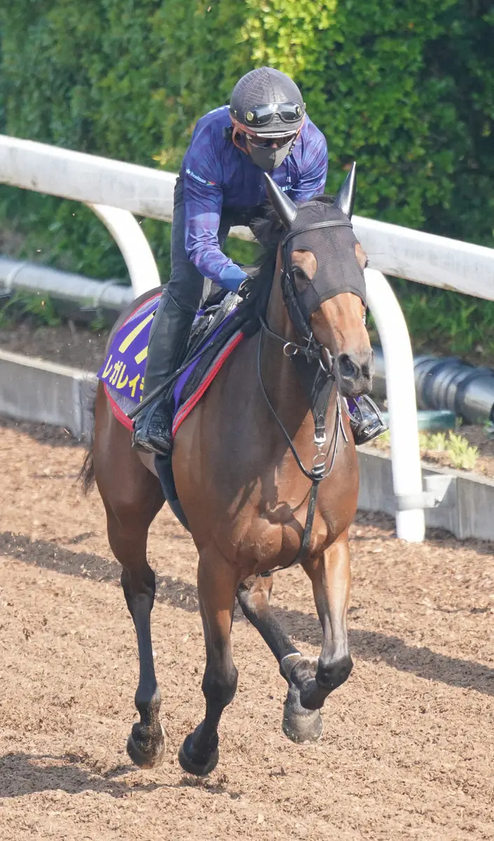 【日本ダービー】（2）レガレイラ　17年ぶり牝馬制覇へ万全　木村師「非常に幸せ」