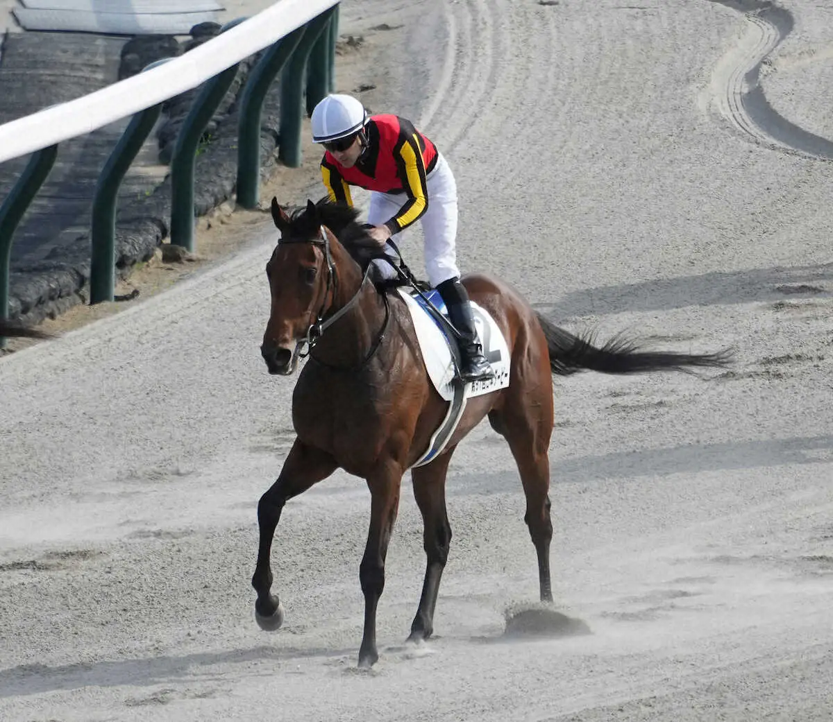 【日本ダービー】レガレイラは5着で牝馬Vならず　ルメールがっくり「後ろから差し切るのは難しかった」