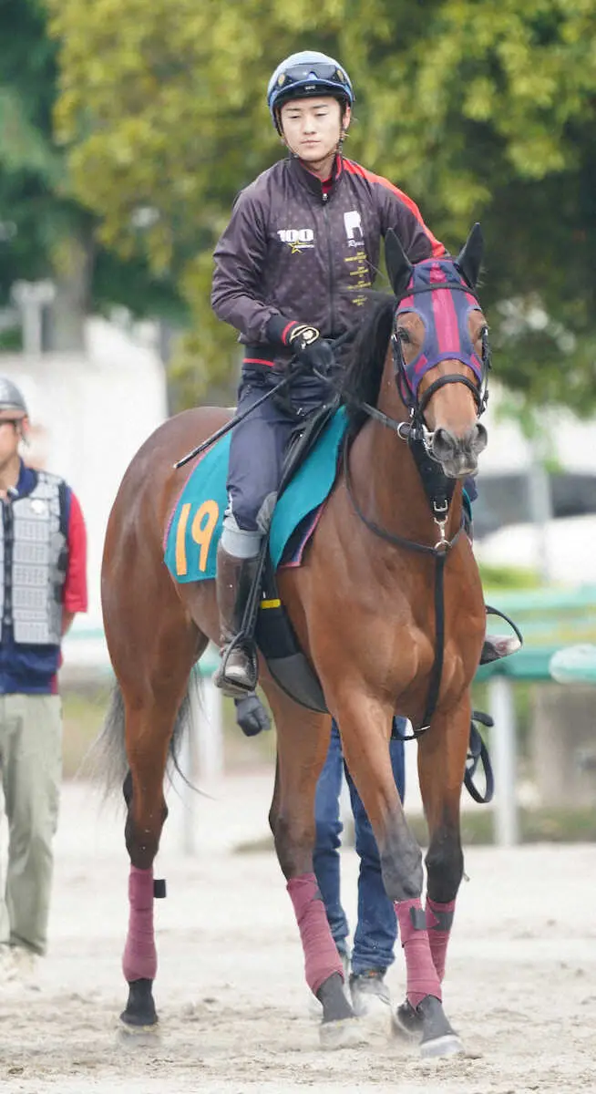 【東京新馬戦】エンブロイダリー　父に似て筋肉質の馬体、森一師「期待十分」