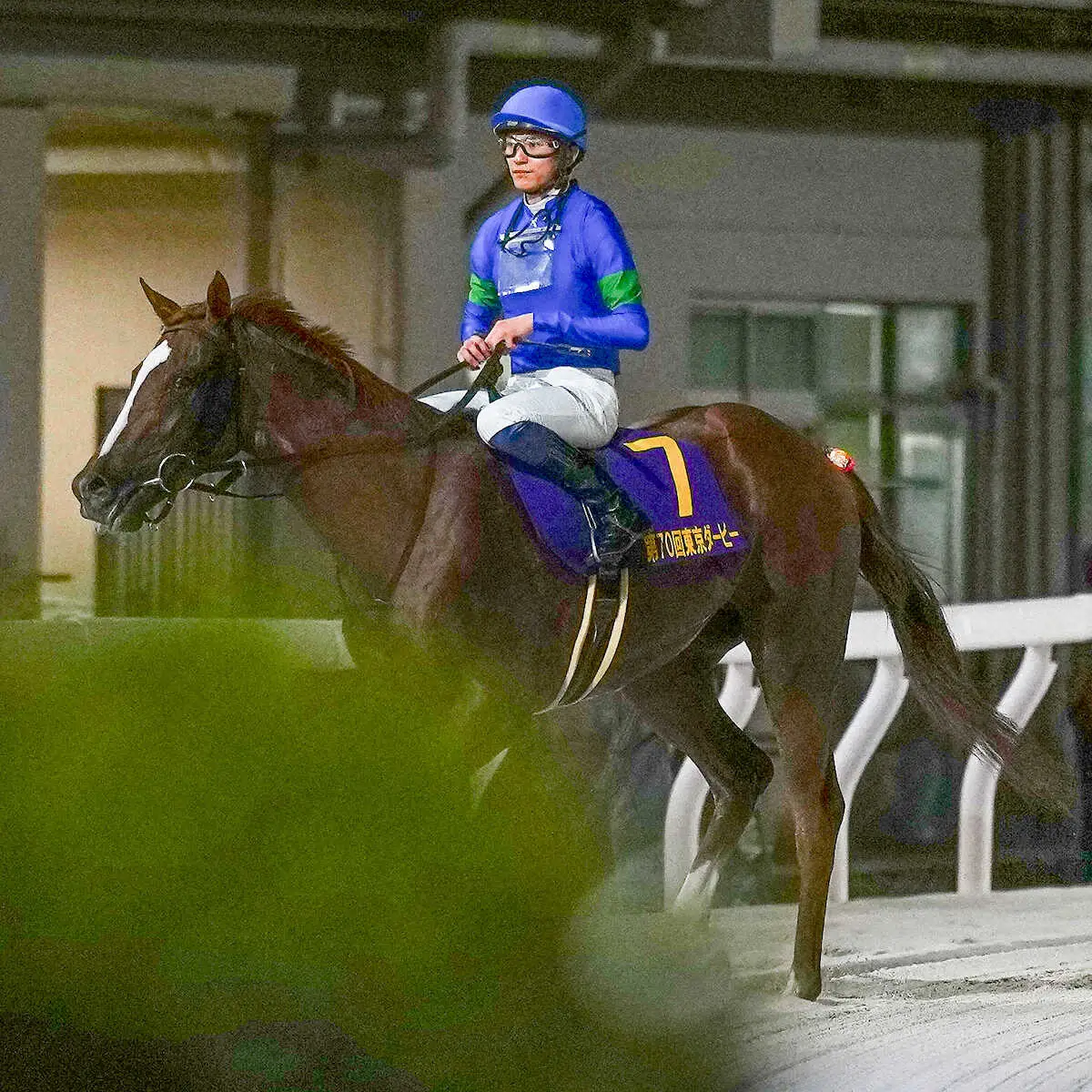 【東京ダービー】牝馬アンモシエラは羽田盃のリベンジならず3着　松永幹師「強い相手に頑張った」