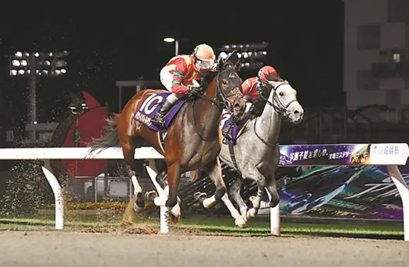 【川崎競馬・関東オークス】12日発走　過去10年データで必勝ポイントを探る！