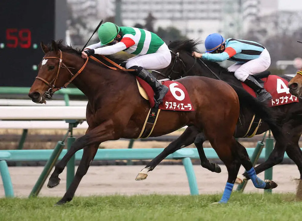 ダービー馬タスティエーラ、宝塚記念登録見送り　今季2戦は11着、7着