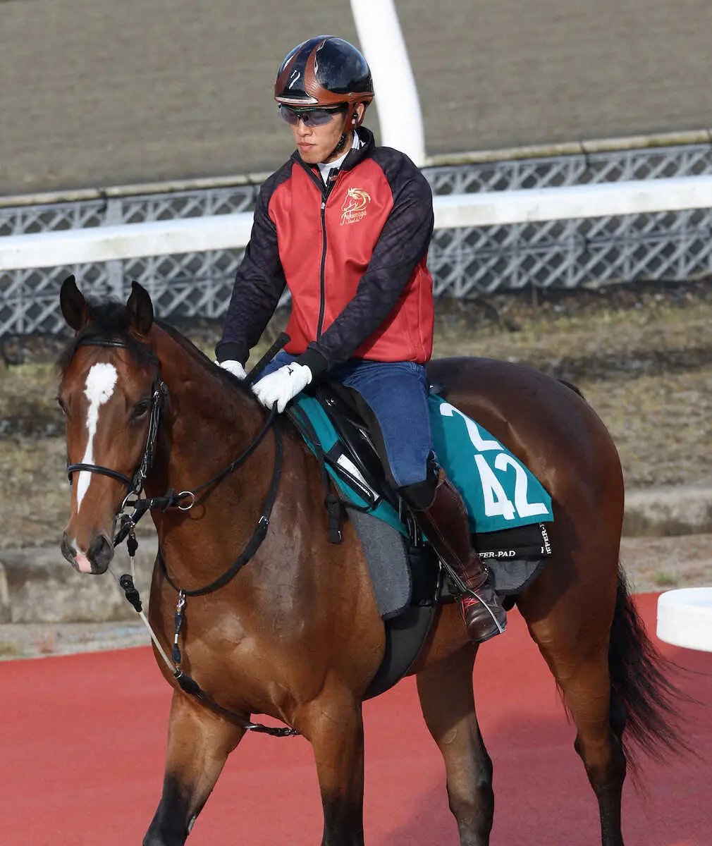 【東京新馬戦】福永厩舎の良血ダノンブランニュー　戸崎とコンビで初陣Vへ!