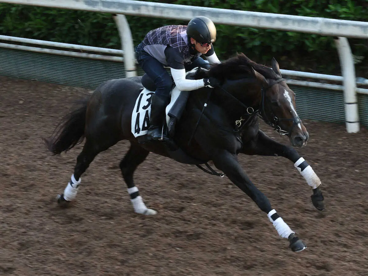 【米子S】ディオ　巻き返しへ意欲、辻野師「フレッシュでいい状態」