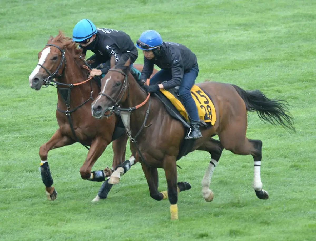 【函館新馬戦】スリーピース　武井師絶賛11秒7　佐々木も好感触「スピードがある」