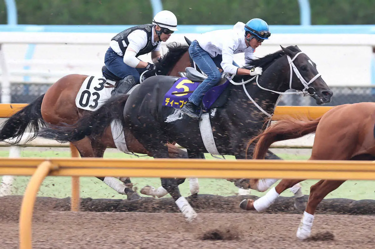 【宝塚記念・1週前追い】ディープボンド　併せて1馬身先着11秒6　幸「状態はいい」