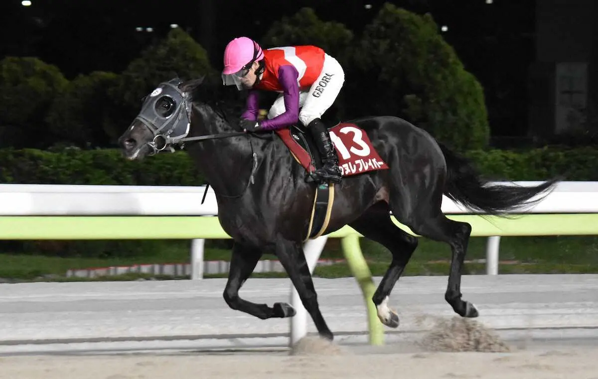 【南関競馬コラム】カヌレフレイバー　逆境を乗り越えた勝利　短距離界のエースになれるか