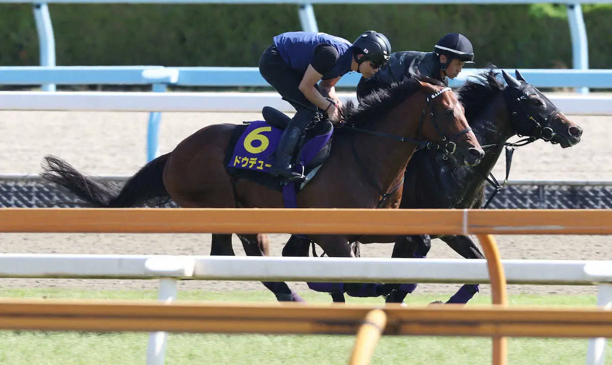 【宝塚記念】友道師が見たドウデュースの変化「ムキっ」から「スっ」　雨予報も日本の道悪なら問題なし