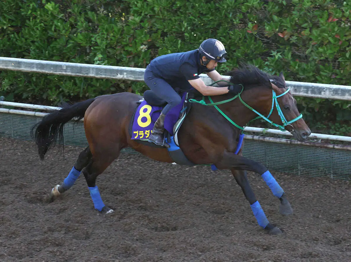 【宝塚記念】プラダリア　馬場気にするも好調　池添師「引き揚げてきてもケロッとしていた」