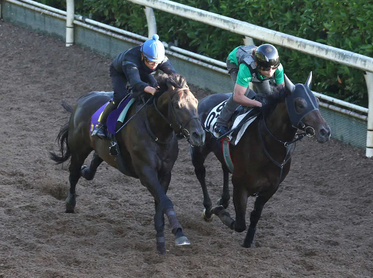 岩田望来騎手を背に坂路をサンライズプルート（右）と併せ馬で追い切るカラテ