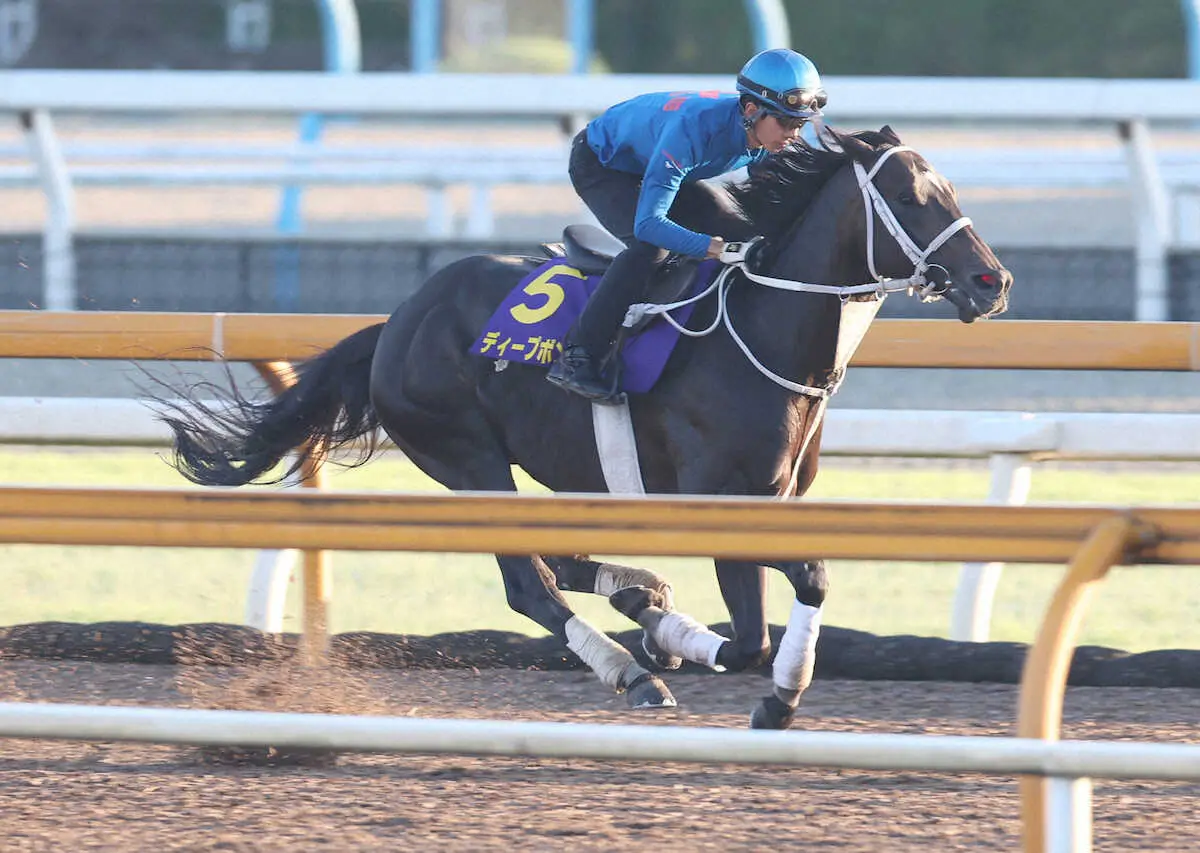 【宝塚記念】ディープボンド　我慢利いた走り披露　幸は好感触「いい意味で前走と変わらない」