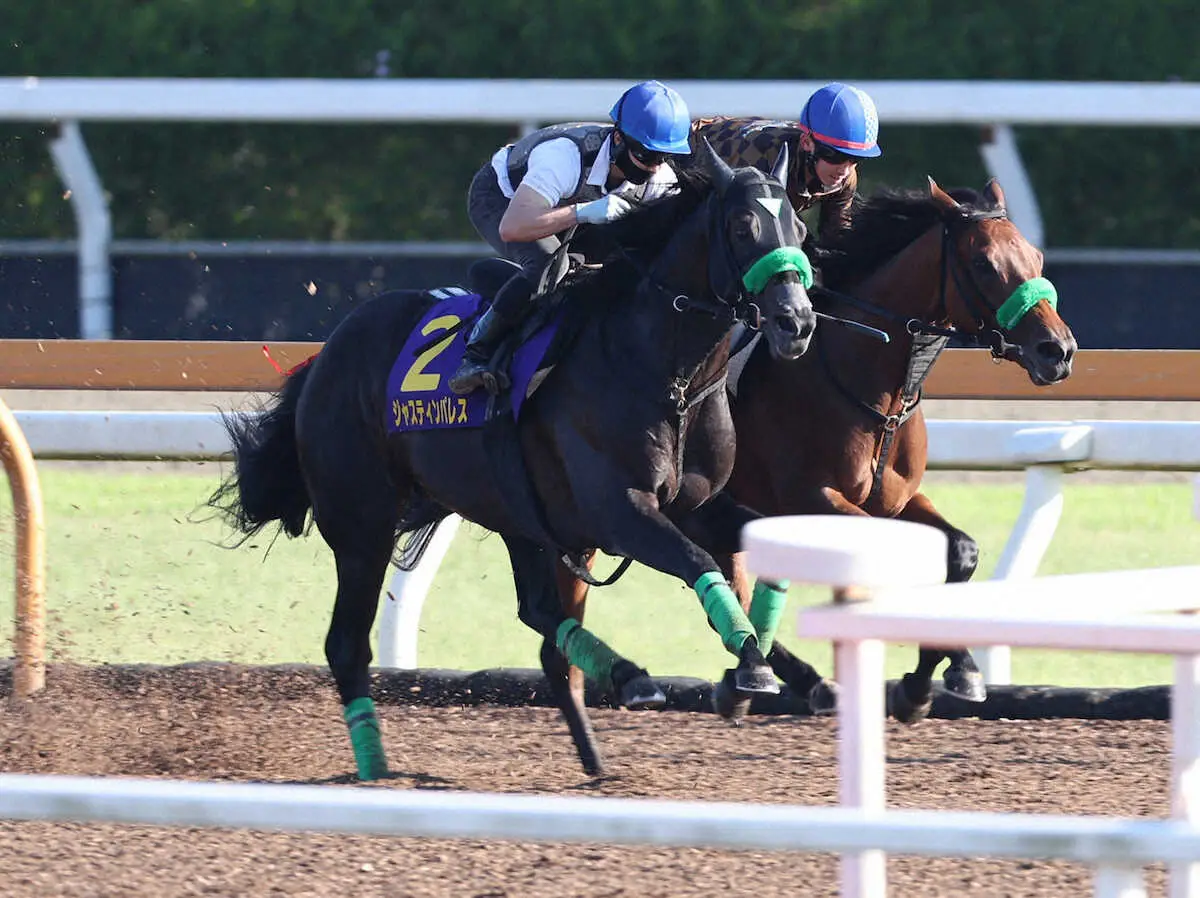 【宝塚記念】ジャスティンパレス　闘争心あえて封印　メンコ着用で絶妙サジ加減ラスト1F11秒3