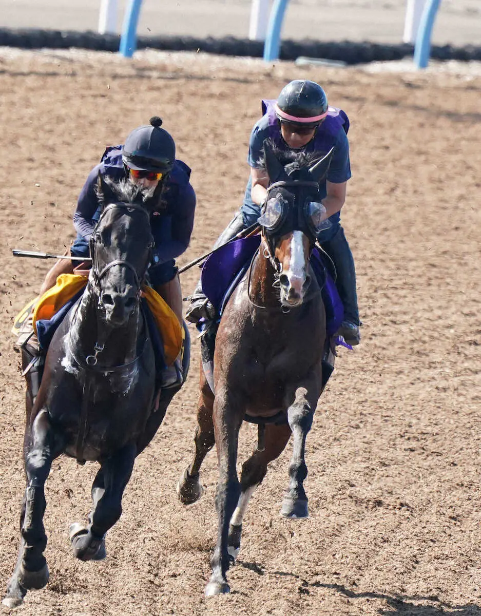 【宝塚記念】大阪杯2着馬が来る!01年以降は連対率36％、複勝率54％と良績残す