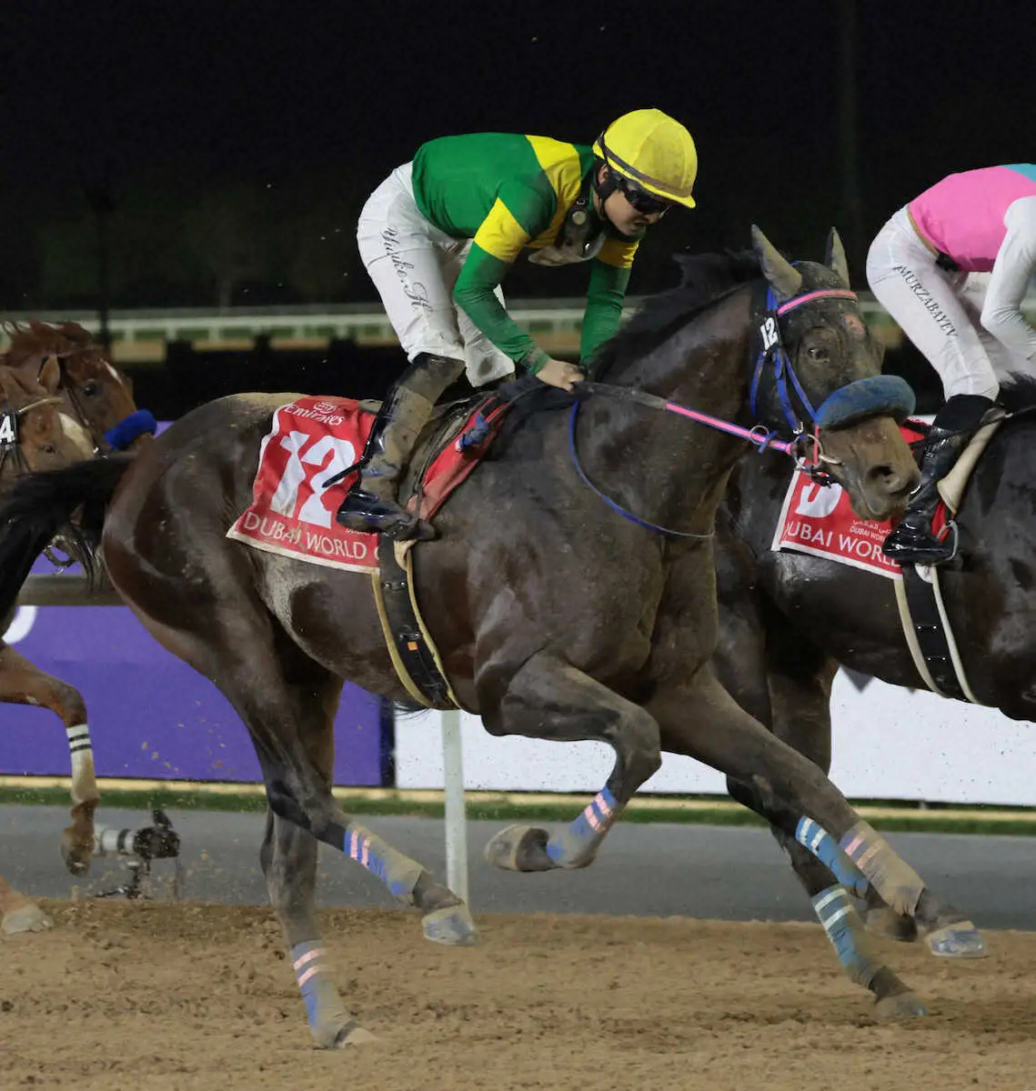 【大井競馬　26日・帝王賞出走予定馬】ドバイワールドC4着・ウィルソンテソーロなど強豪そろう