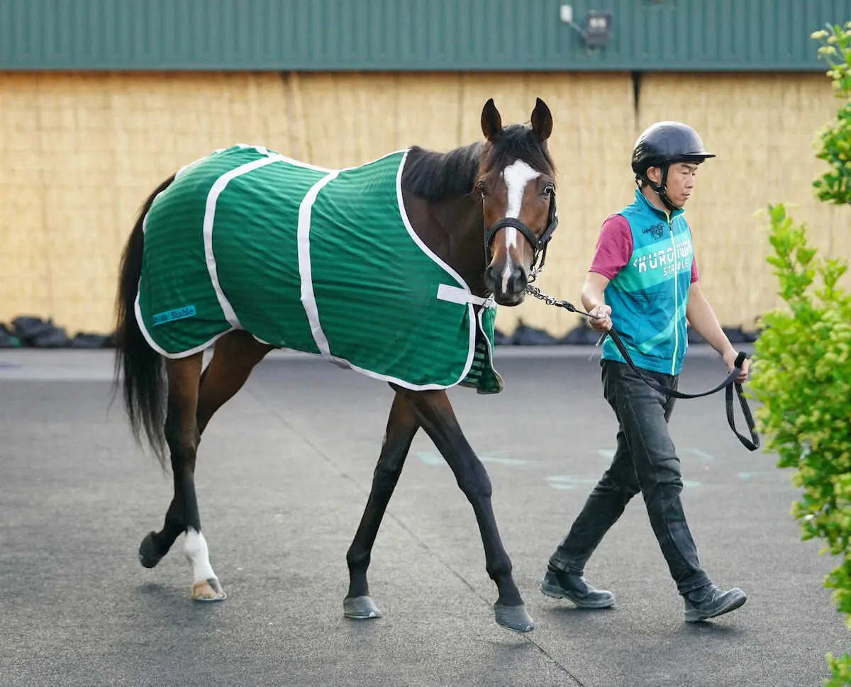 【宝塚記念】（13）ルージュエヴァイユ　状態は上がった、陣営「少しでも走りやすい馬場なら…」