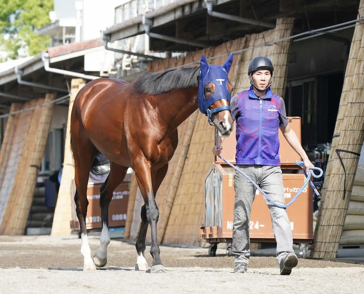 【宝塚記念】（9）ソールオリエンス　馬のリズム重視、陣営「真ん中あたりで良かった」