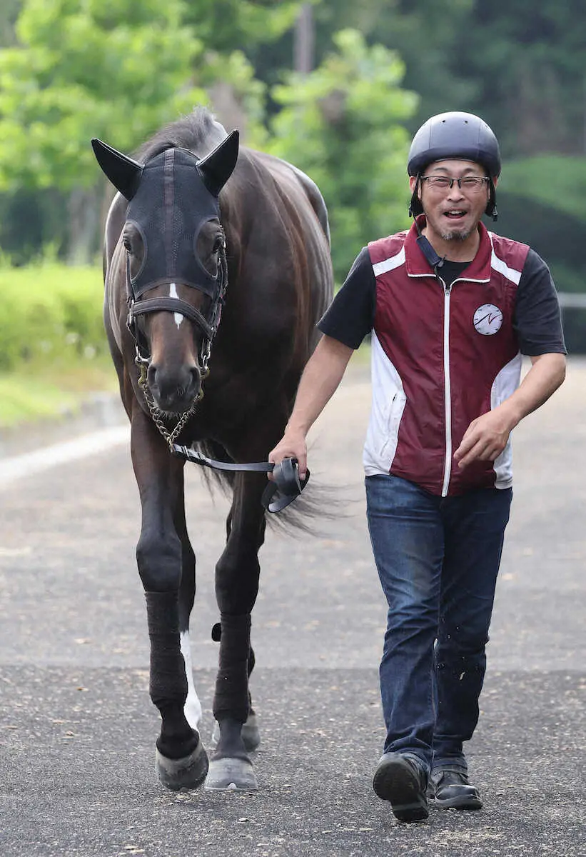 【京都新馬戦】“注目の2億円馬”エリキング初陣！陣営「水準ぐらいの時計で動けています」