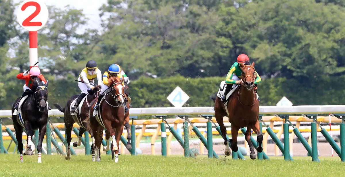 【東京6R新馬】サトノカルナバルが7馬身差V　レーン「新馬とは思えない落ち着き」