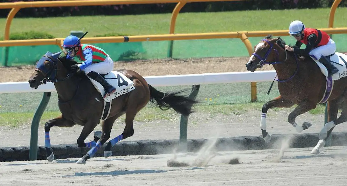 ＜函館6R新馬戦＞ゴール前の直線でルークススペイ（右）と競り合い勝ったアースミューズ（撮影・千葉　茂）