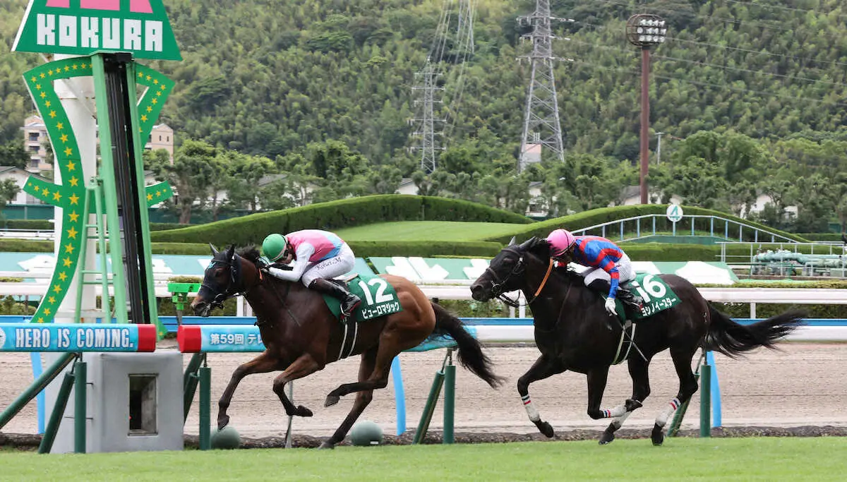 【北九州記念】ピューロマジック重賞連勝!松山が会心の手綱「馬の能力をうまく生かせた」