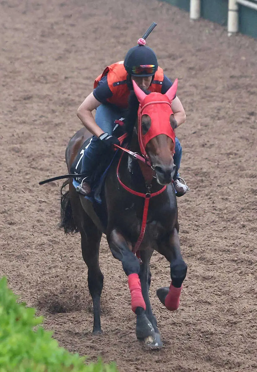 【プロキオンS】ブルーサン　輸送考慮し“整え”、川村師「今回54キロなのがいい」