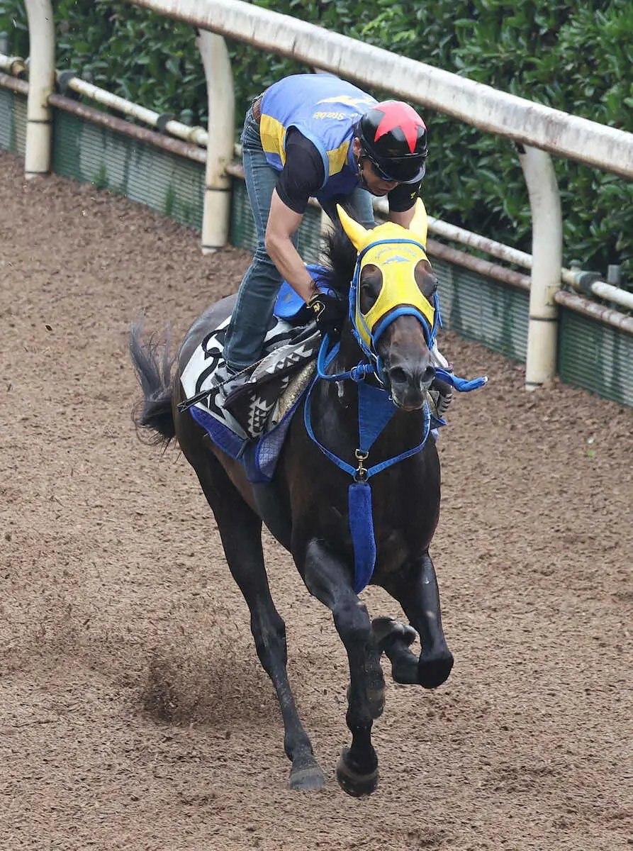 【七夕賞】リフレーミング　軽く気合つけてラスト1F12秒3、鮫島師「ちょうどいい」