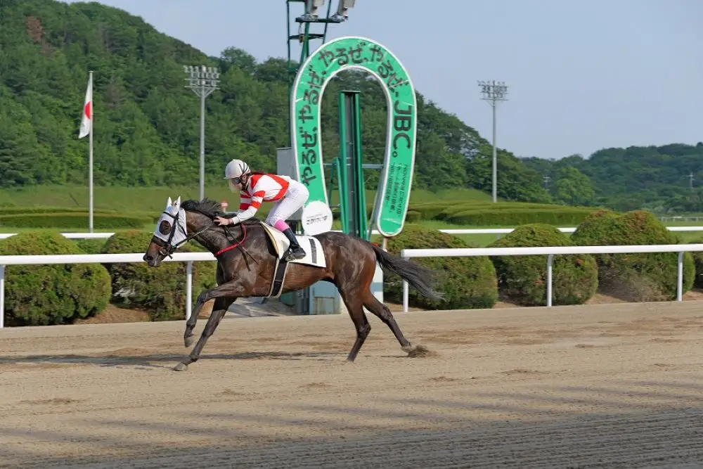 自在性を発揮して連勝を狙うアイタカ