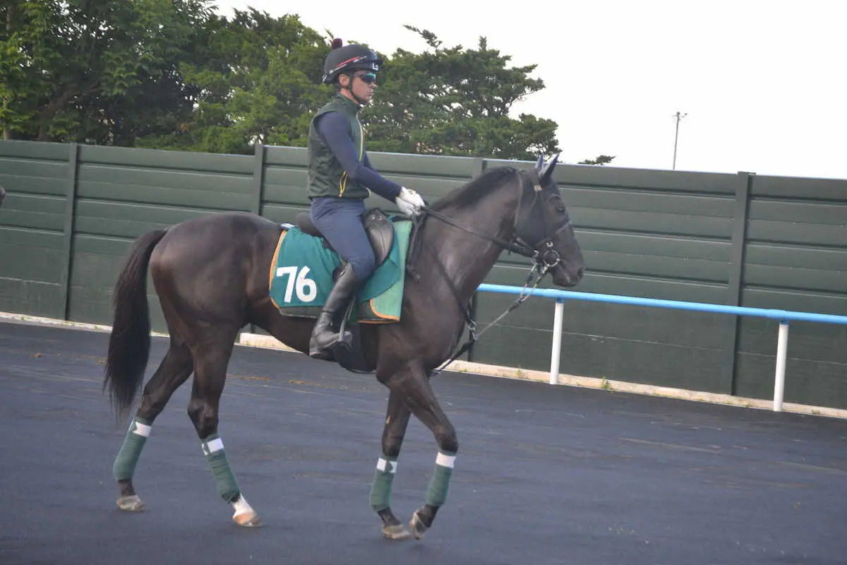 函館2歳Sの有力馬ヤンキーバローズ（撮影・小田　哲也）