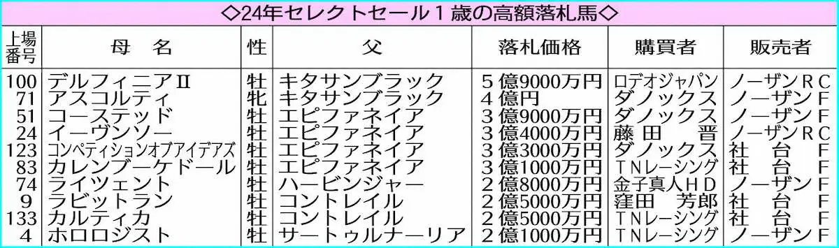 24年セレクトセール1歳の高額落札馬