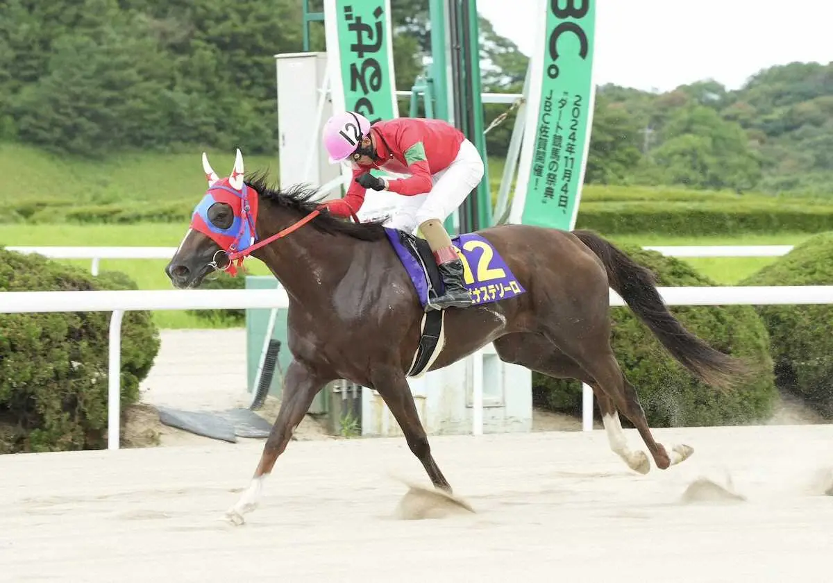 好位から押し切って霧島賞を制したルピナステソーロ（佐賀県競馬組合提供）