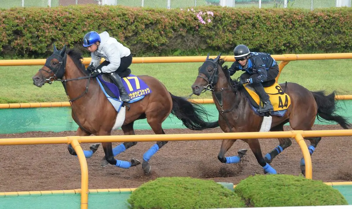 【函館記念】ホウオウビスケッツ天井知らず！Wコースで2馬身突き抜けた、岩田康「いい動き」