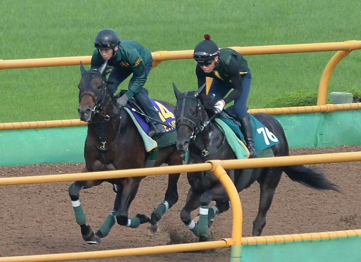 函館Wコースで併せ馬をしたデビットバローズ（左）（撮影・千葉　茂）