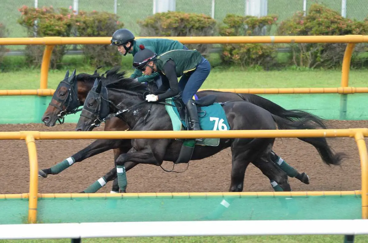 函館Wコースで併せ馬をしたヤンキーバローズ（手前）（撮影・千葉　茂）