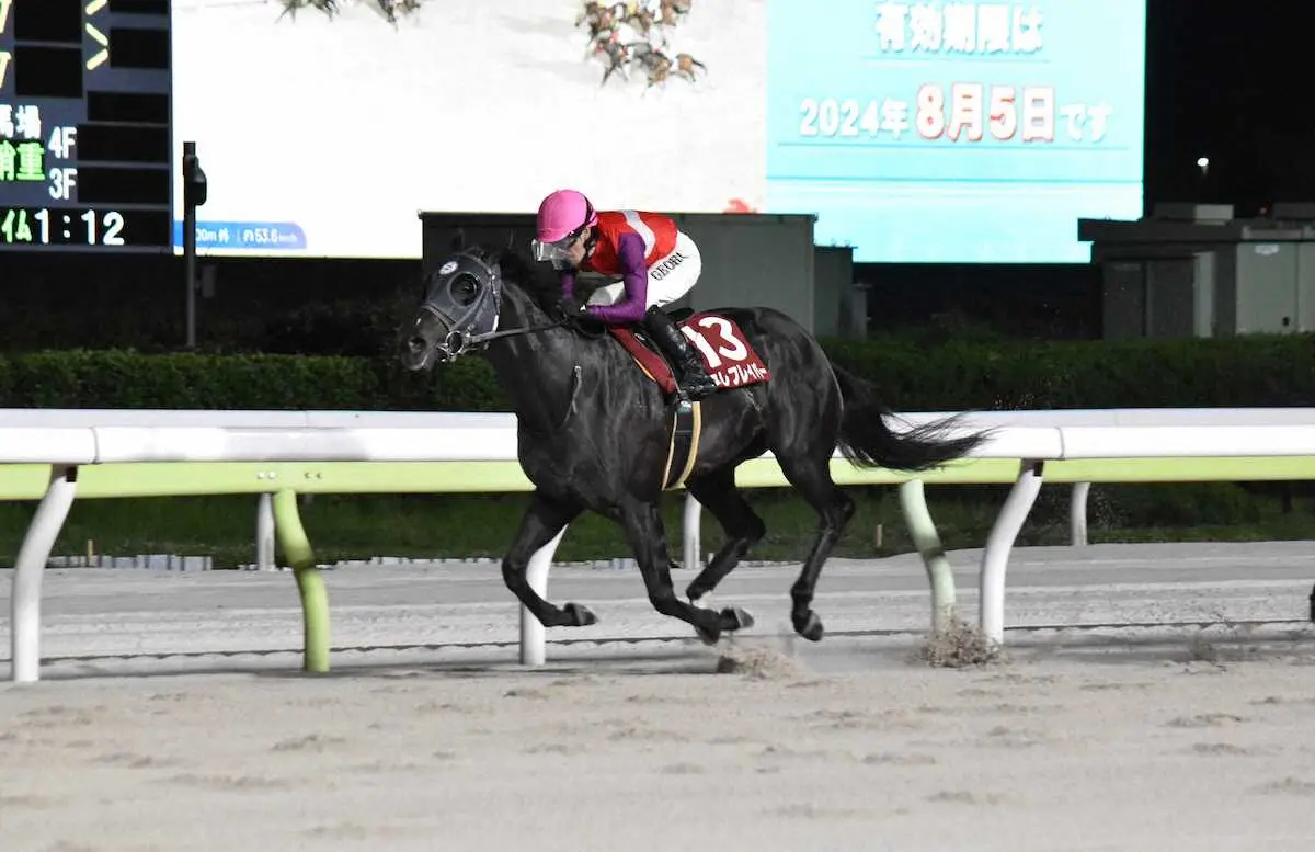 【大井11R・優駿スプリント】カヌレフレイバー無敗戴冠へ