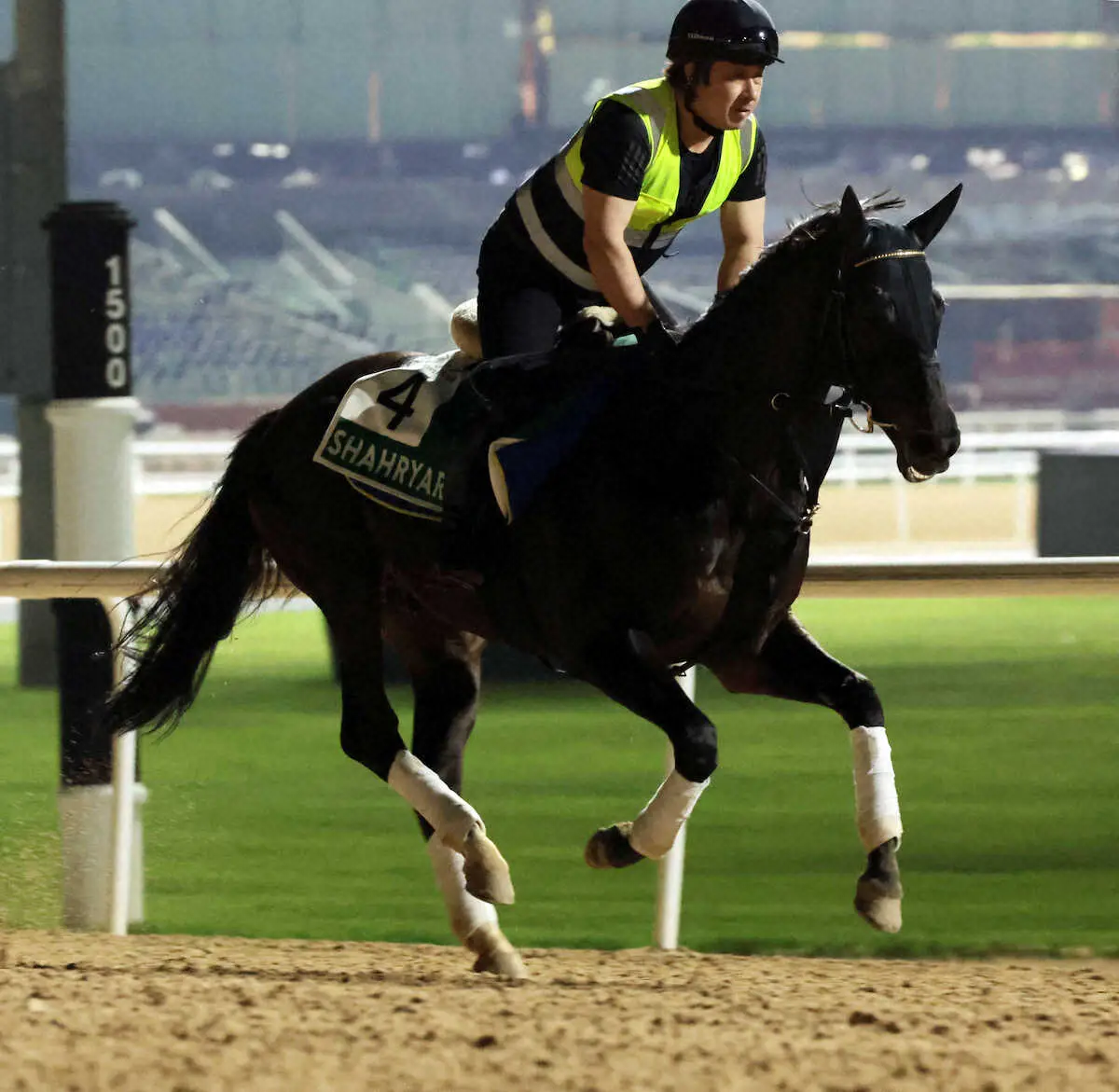 ドバイSC2着のダービー馬シャフリヤール、松山と再コンビで札幌記念へ