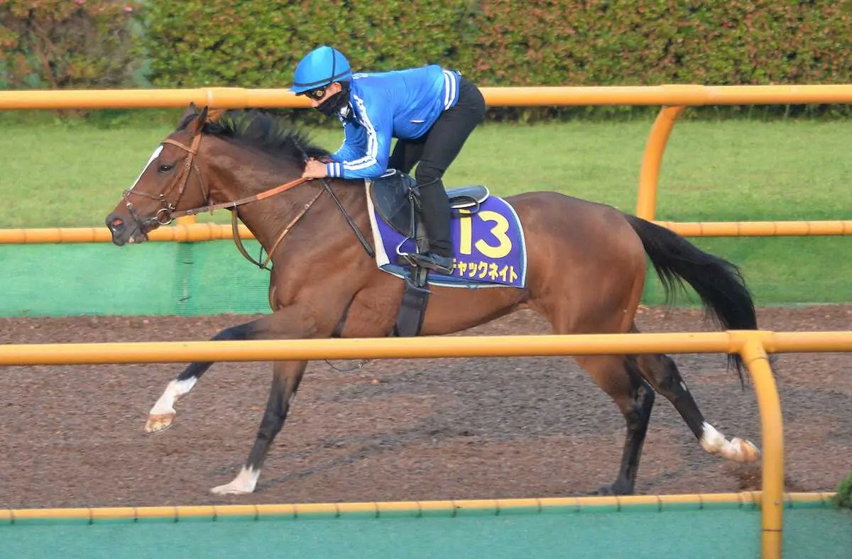 函館Wコース単走で追い切ったチャックネイト（撮影・千葉茂）