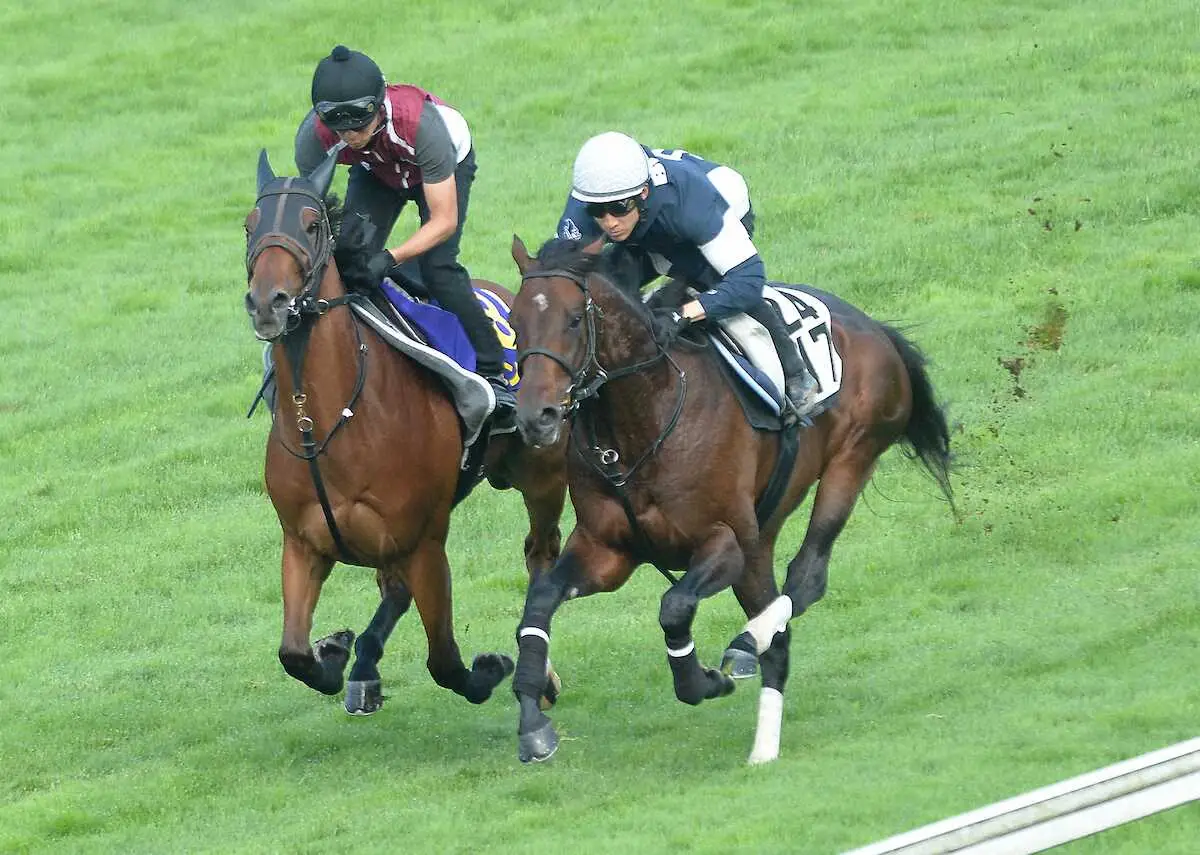 函館芝コースで併せ馬で追い切ったグランディア（左）（撮影・千葉茂）