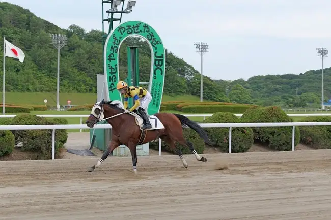 前々走は2着に7馬身差をつけるなど底力があるアイリッシュセンス