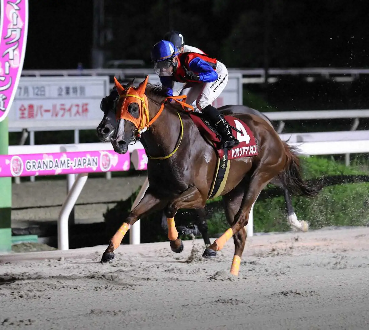 【園田競馬　兵庫サマークイーン賞】ハクサンアマゾネス連覇　重賞24勝目で平地重賞記録更新