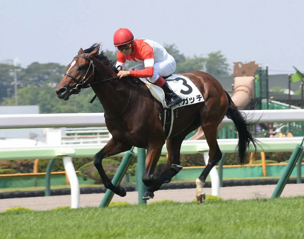 【函館2歳未勝利戦】イガッチ　2戦目で初勝利　浜中「レースぶりが良くなった」