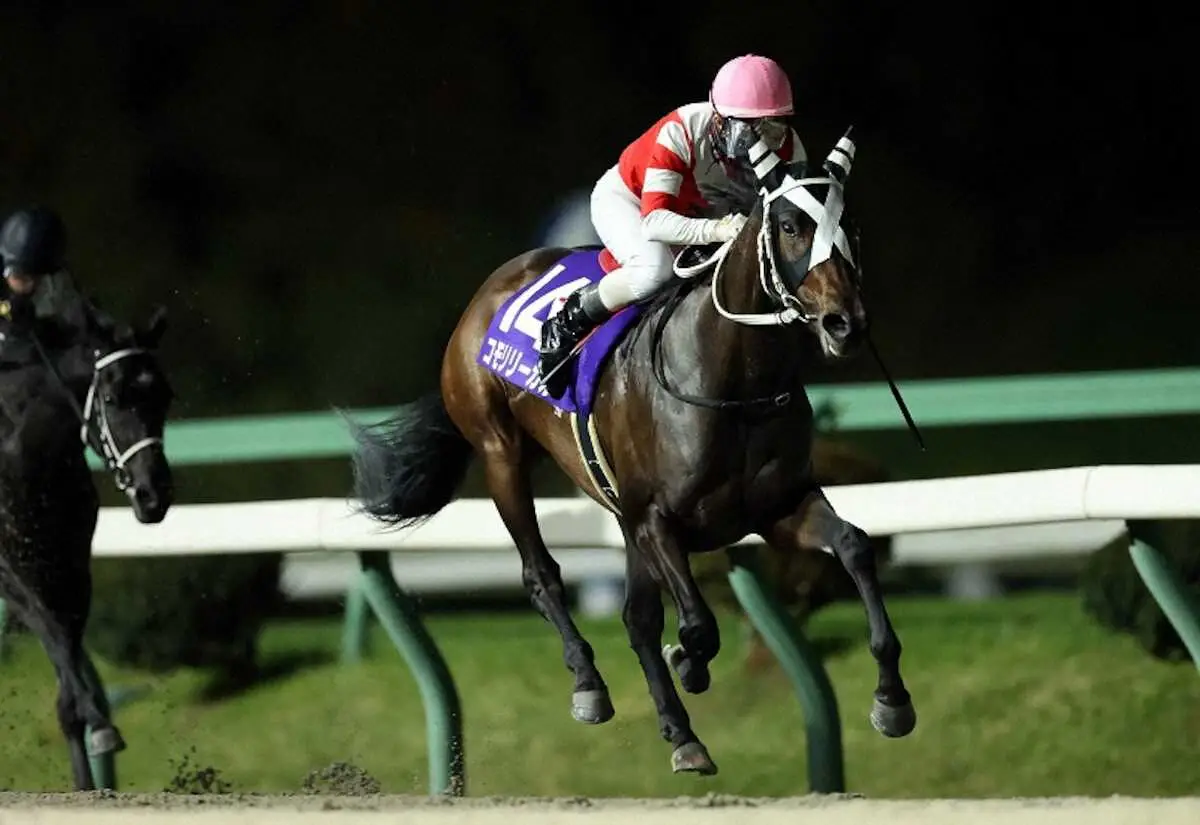 転入初戦のコモリリーガルが即好勝負（岩手県競馬組合提供）